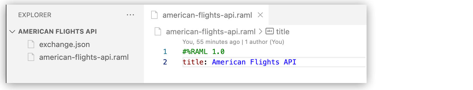 Project for American Airlines API