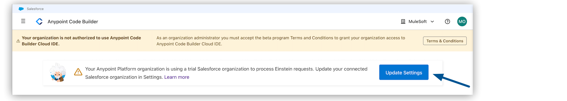Einstein banner on the Anypoint Code Builder home page with arrow pointing to the Update Settings button