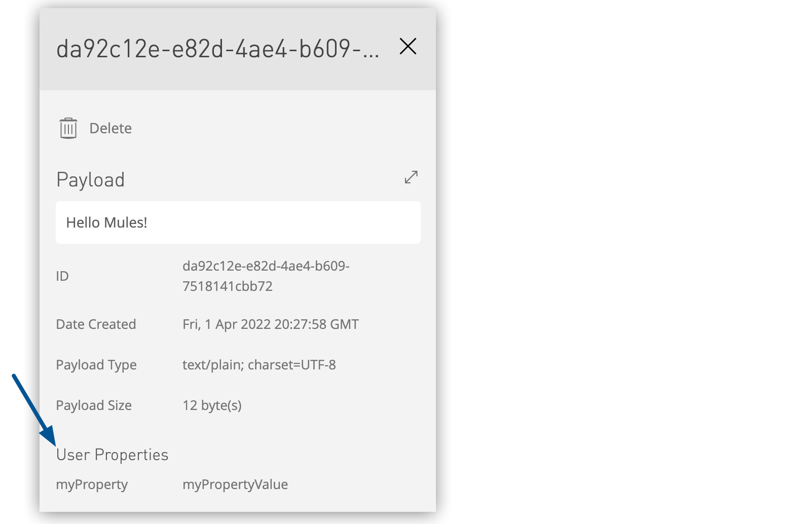 User Properties in the Message Browser details pane