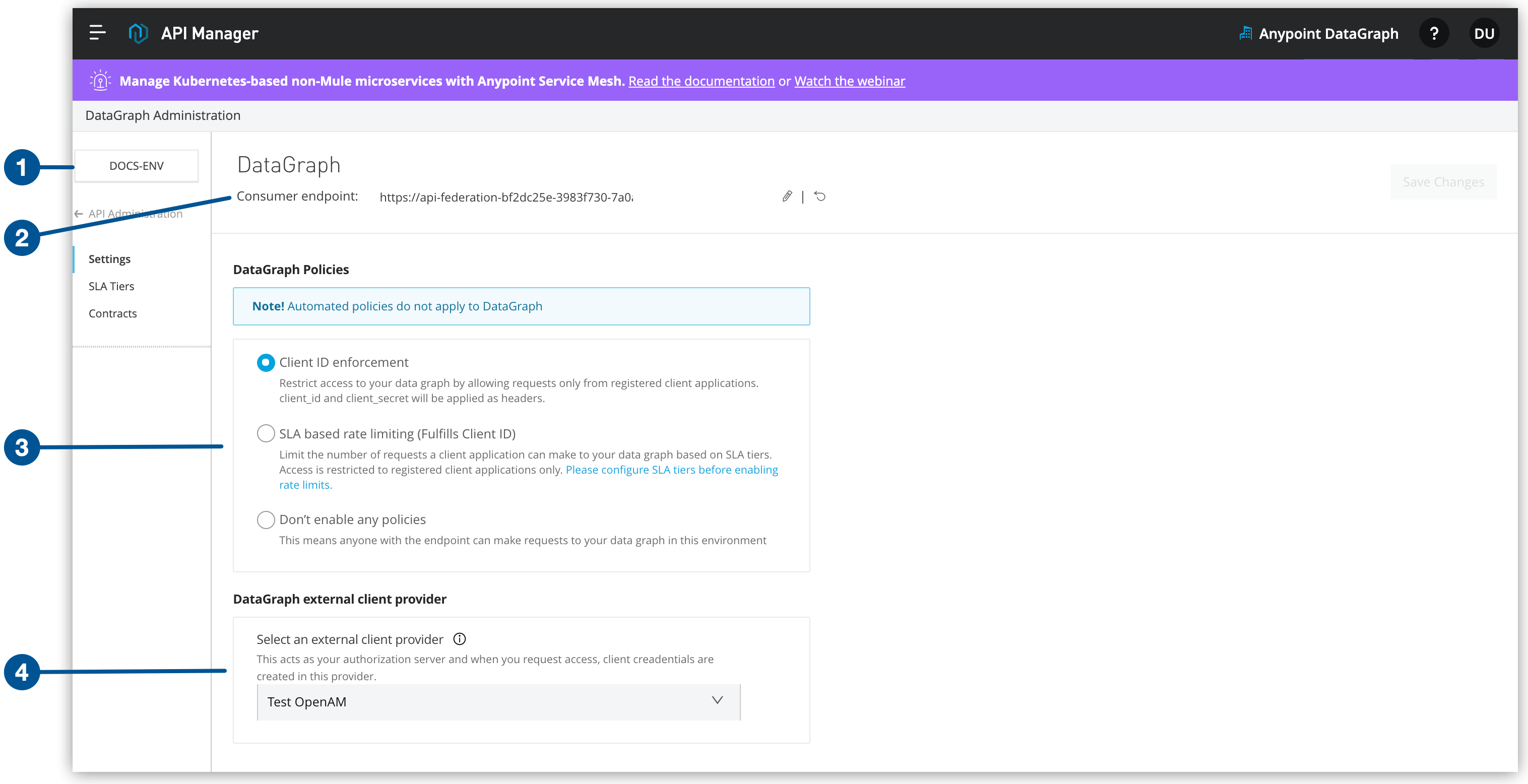 The illustration shows the Anypoint DataGraph Administration page