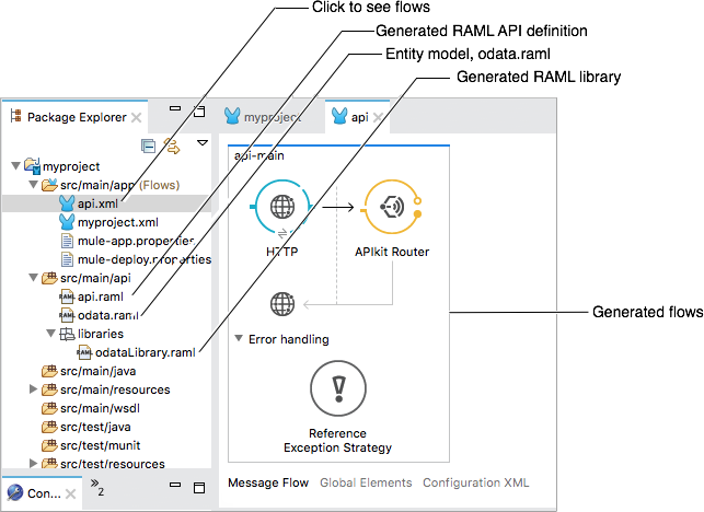 api.xml and odata.raml located in Package Explorer.