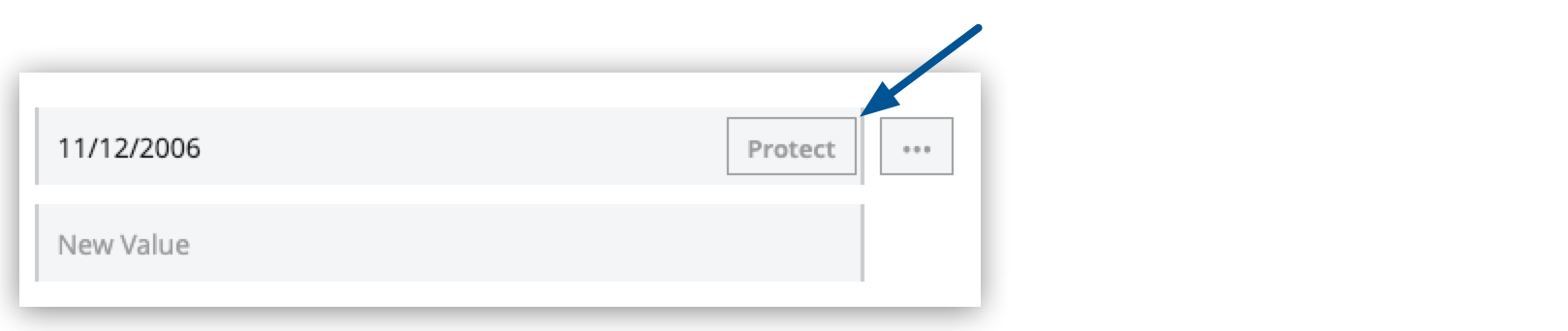 Protect button on the Properties tab