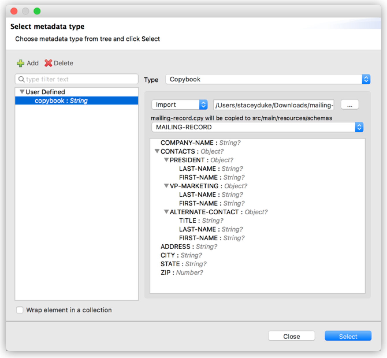 A selecting metadata type interface for importing a copybook definition file