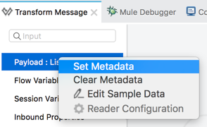 set metadata