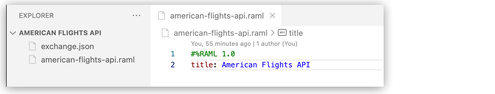 American Airlines API のプロジェクト