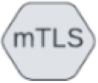 中央に mTLS と書かれた灰色の六角形