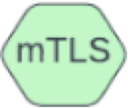 中央に mTLS と書かれた緑色の六角形