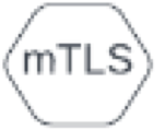 中央に mTLS と書かれた白色の六角形