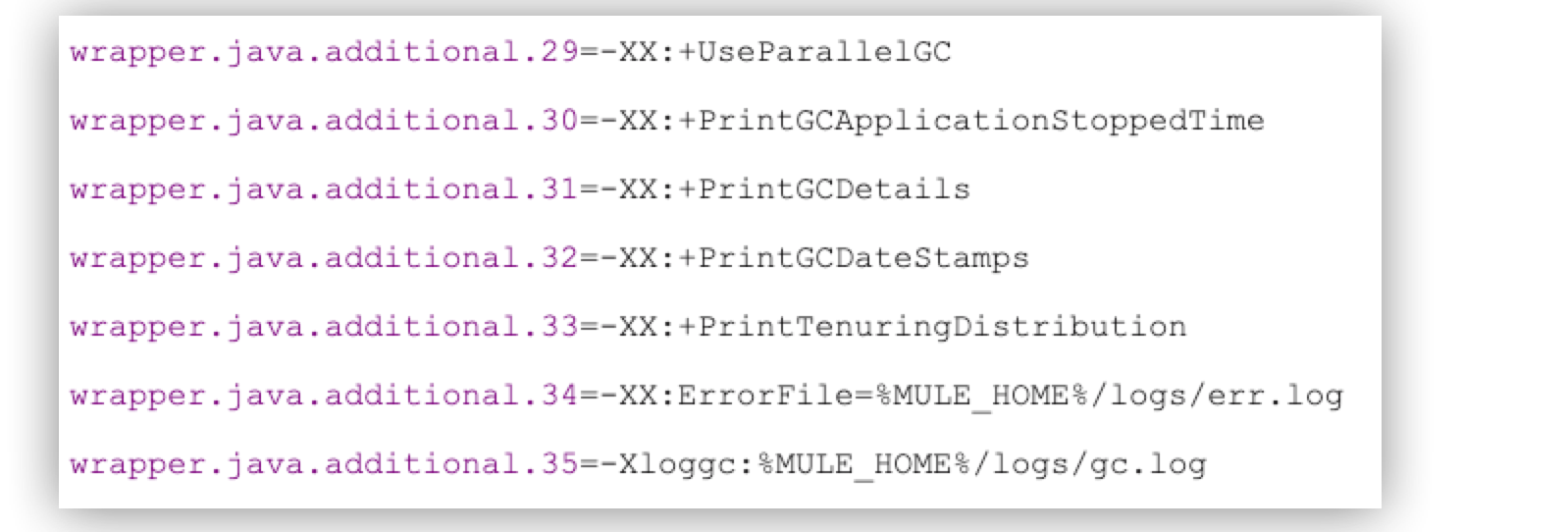 設定ファイルで定義された Java 仮想マシンオプションがリストされているテキスト