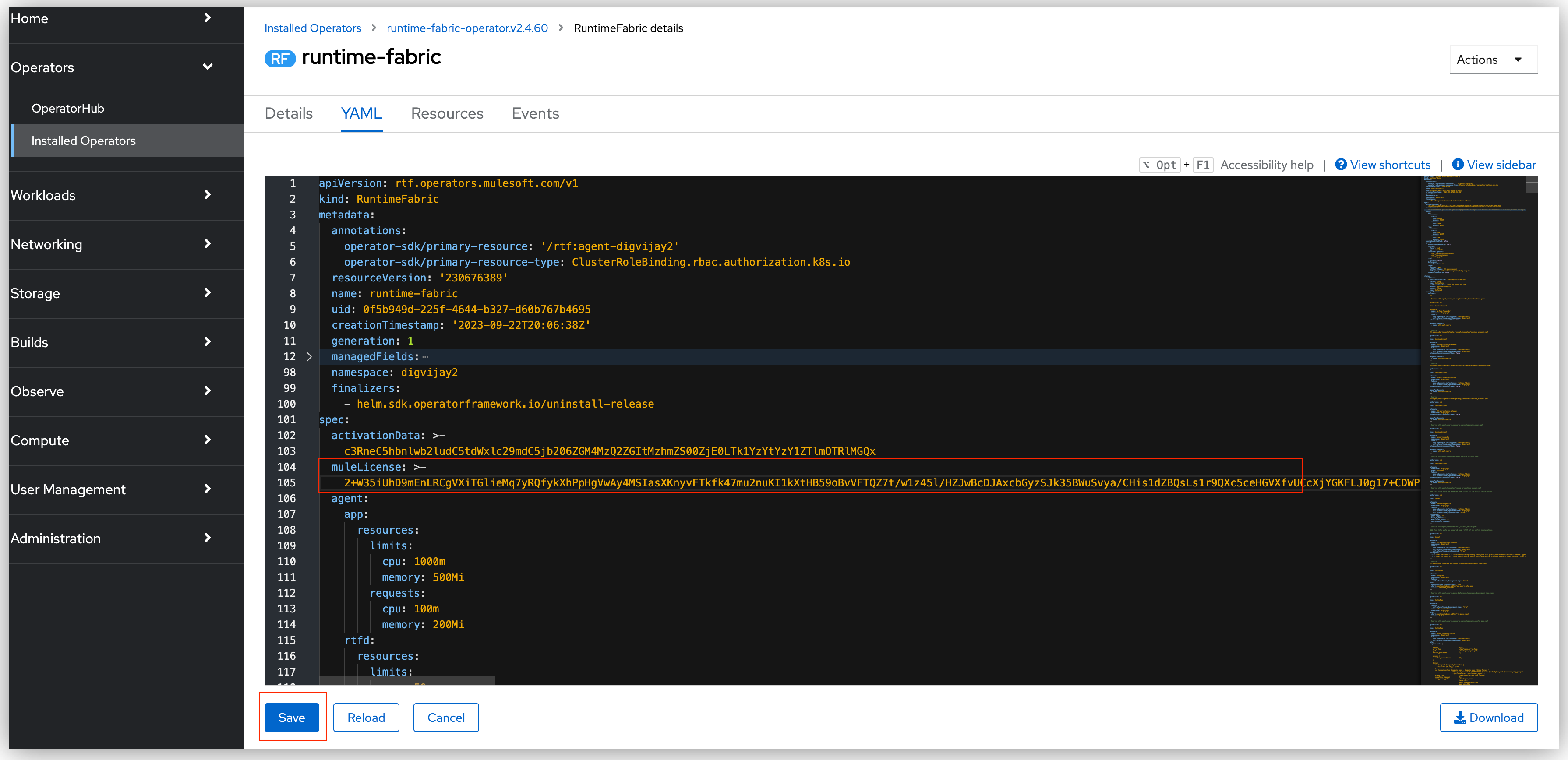 mulelicense が追加された Runtime Fabric インスタンス