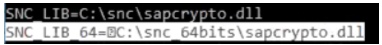 Windows 変数 SNC_LIB_64