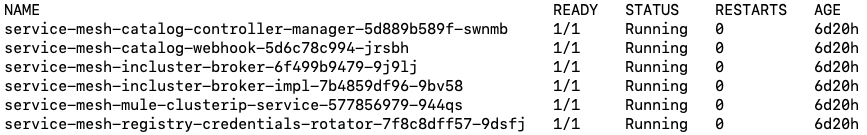 Anypoint Service Mesh インストーラーからの出力