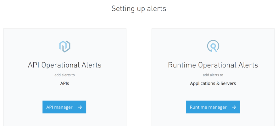 API and Runtime Alert Setup