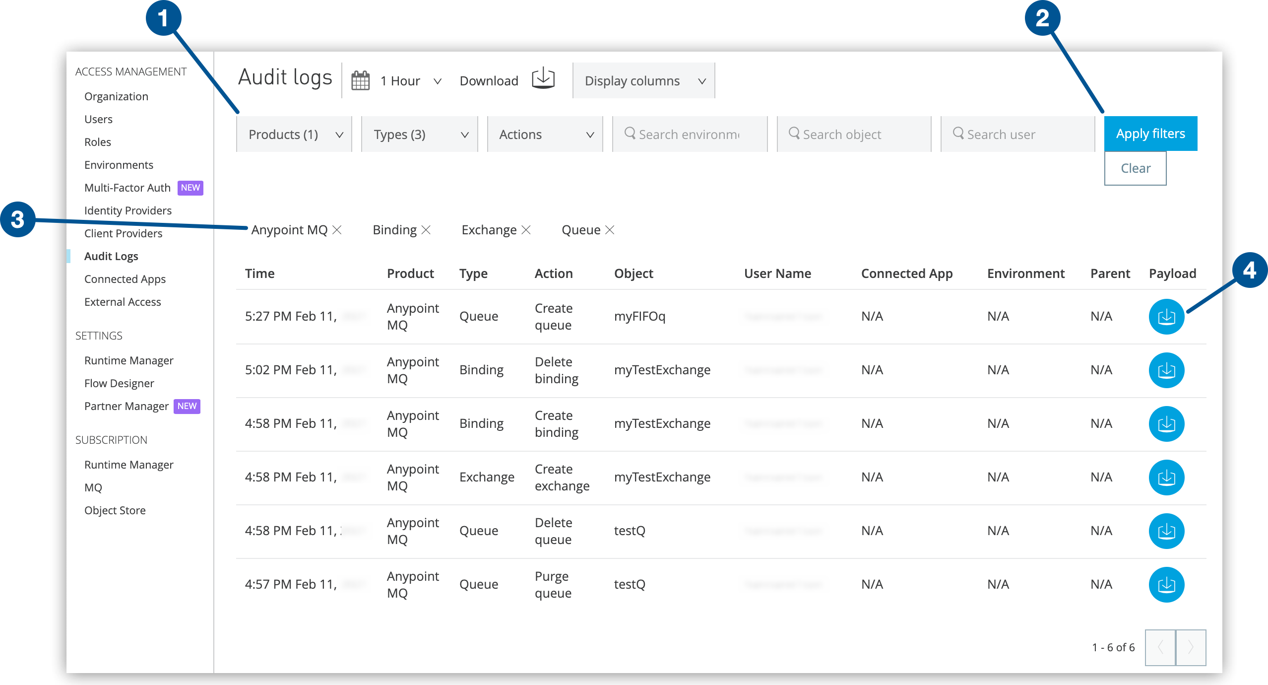 Filters, the Apply filters button, the filters currently applied, and the Download payload icon on the Audit logs page