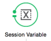 session variable icon