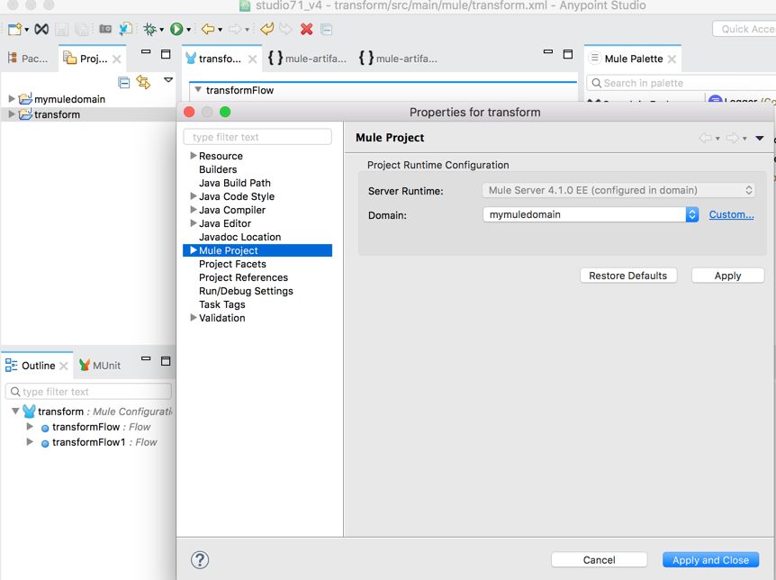 Domain assignment options for a Mule project in Anypoint Studio