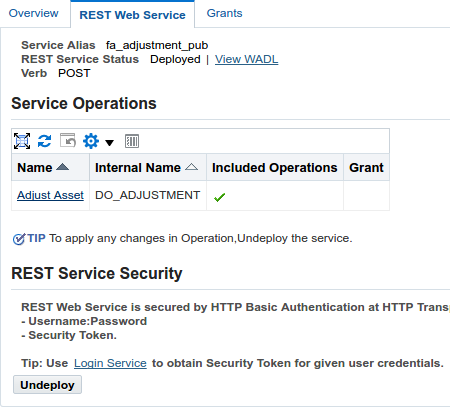 Deploy PL/SQL - Adjustment API Deployed