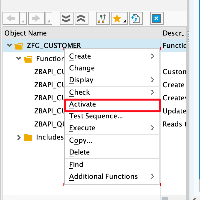 SAP command to activate the ZFG_CUSTOMER2 function group