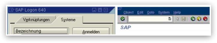 Example SAP - two windows