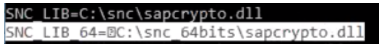 Windows variable SNC_LIB_64