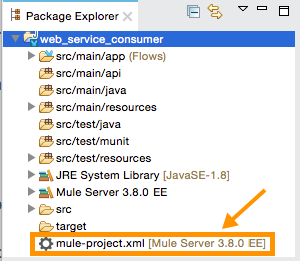 mule_config