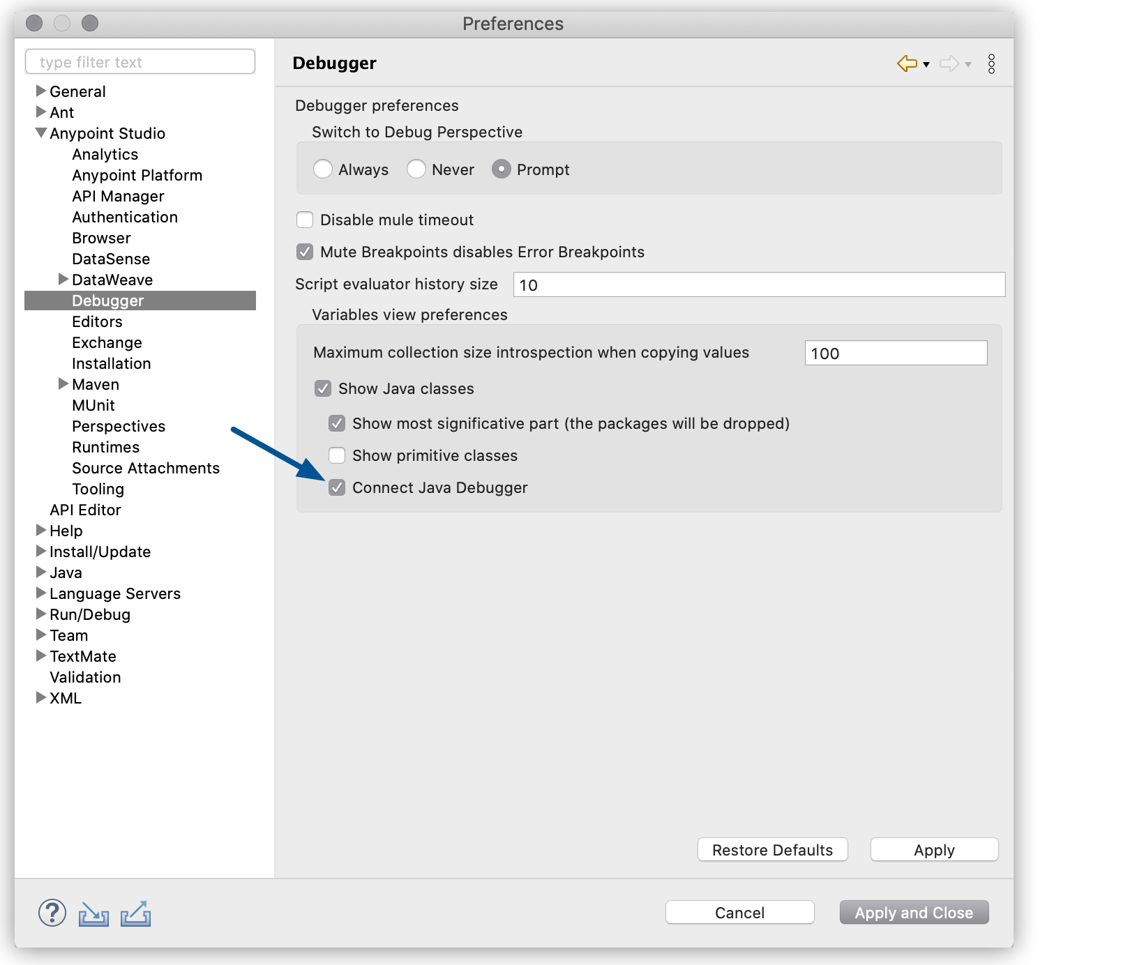 A window displaying preferences for the Java debugger